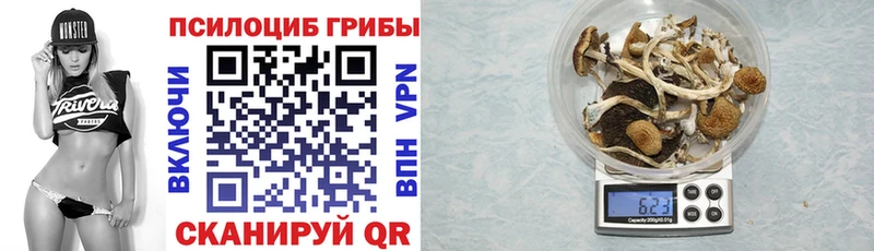 дарк нет клад  где можно купить   Узловая  Галлюциногенные грибы мухоморы 